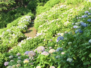 衣替え