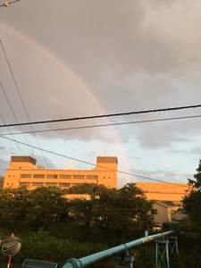 久しぶりの雨