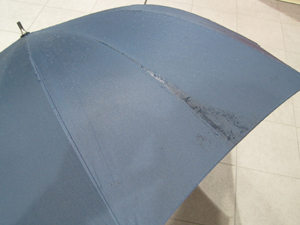梅雨入り、しましたね。