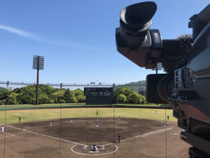 白球を追って