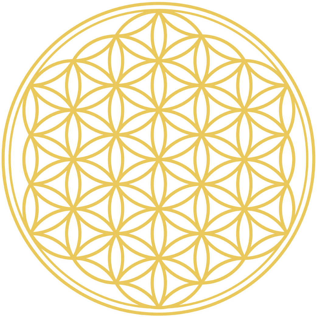 �t�����[�I�u���C�t