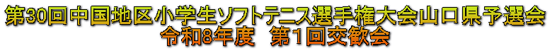 ��30�񒆍��n�揬�w���\�t�g�e�j�X�I�茠���R�����\�I�� �ߘa8�N�x�@��P�������