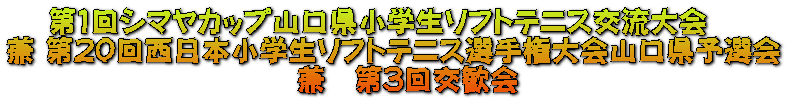 ��P��V�}���J�b�v�R�������w���\�t�g�e�j�X�𗬑��@ �� ��20�񐼓��{���w���\�t�g�e�j�X�I�茠���R�����\�I�� �@���@��3�������
