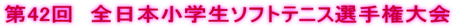 第42回　全日本小学生ソフトテニス選手権大会