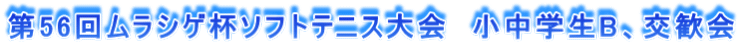 56񃀃VQt\tgejX@wBA