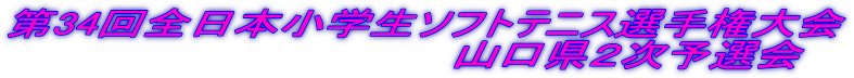 第34回全日本小学生ソフトテニス選手権大会                                 山口県２次予選会