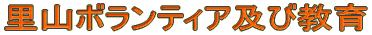 R{eBAyы 